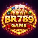 BR789 Game