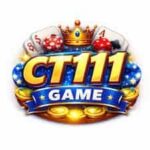 CT111 Game
