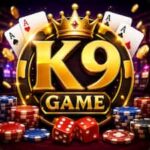 K9 Game