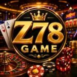 Z 78 Game