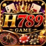 H 789 Game