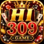 HI309 Game